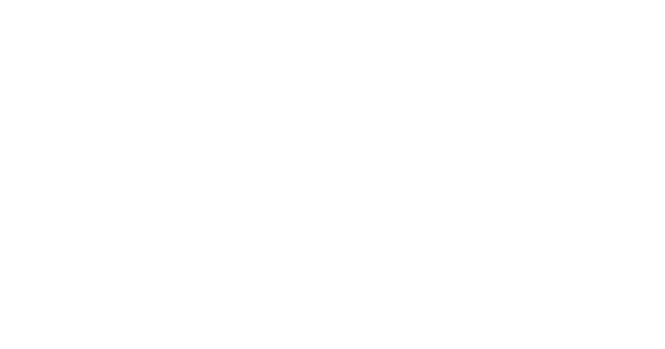 The West Valley Auto logo in white
